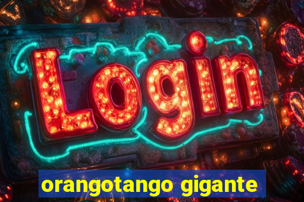 orangotango gigante